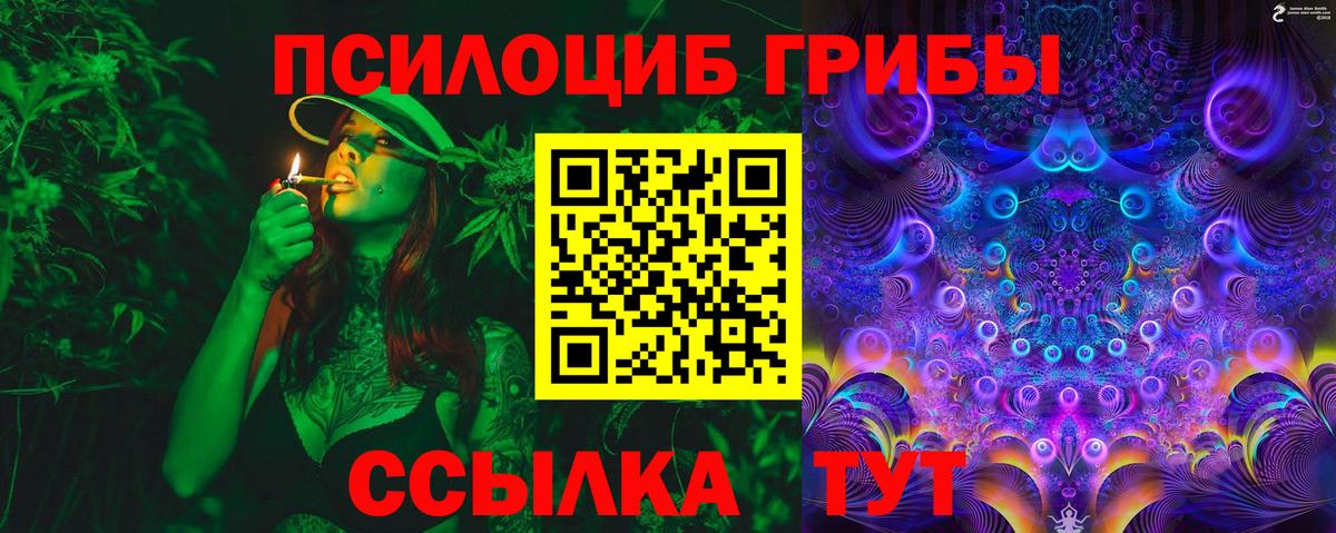 где продают   Вход с VPN  Благовещенск  Галлюциногенные грибы мухоморы 